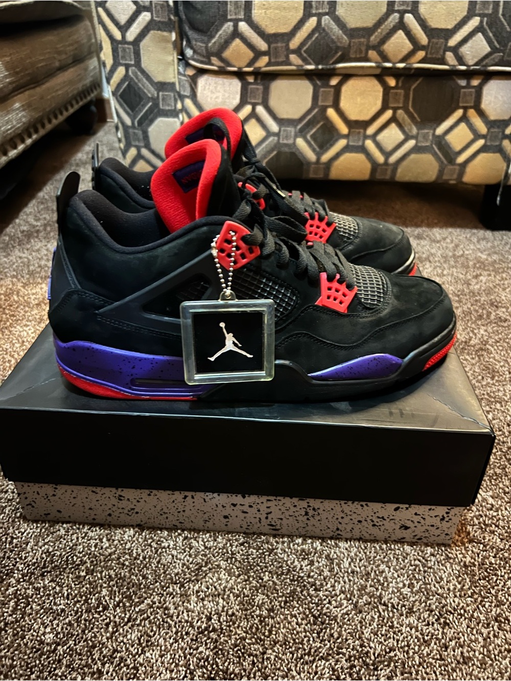 Jordan 4 Raptors
